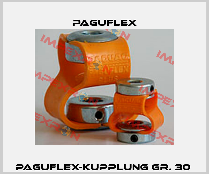 Paguflex-Kupplung Gr. 30  Paguflex